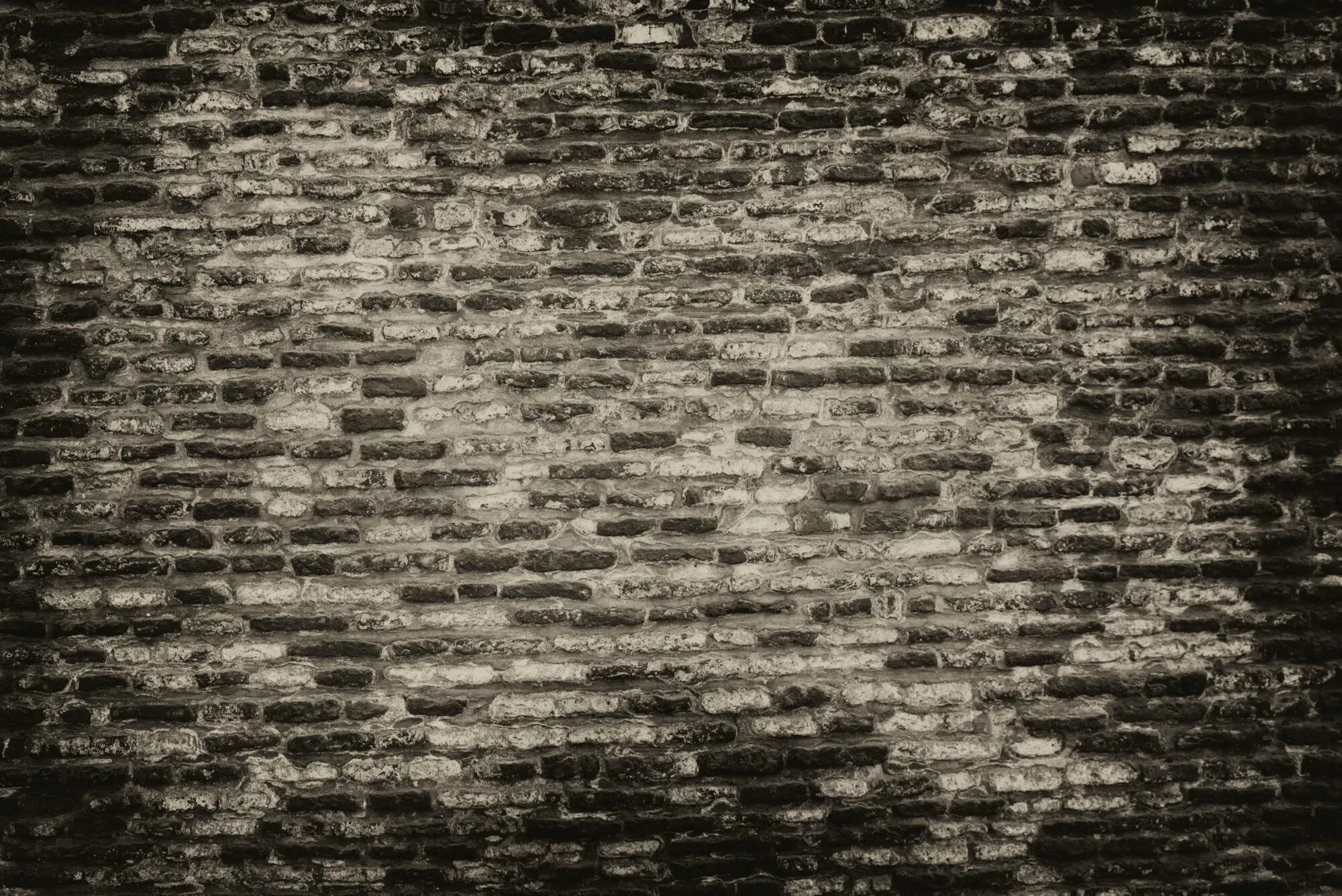 this alt text with a description of the closing photograph
